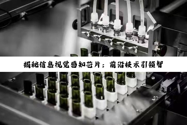 揭秘信息视觉感知芯片：前沿技术引领智能时代新热点