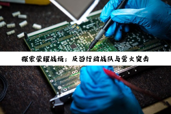 【科普解答】探索荣耀战场：反恐行动战队与萤火突击安保等级的深度剖析