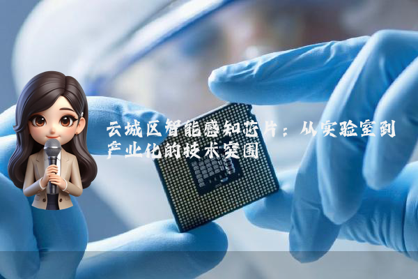 云城区智能感知芯片：从实验室到产业化的技术突围